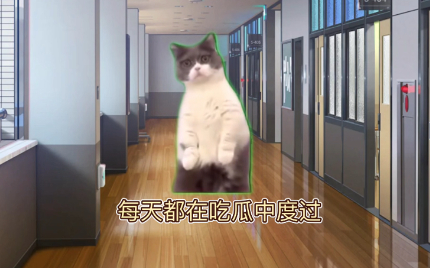 [图]【猫meme】当占卜师发现客户是自己的正缘，而正缘他有好几个*朋友和新crush后……（吃瓜）