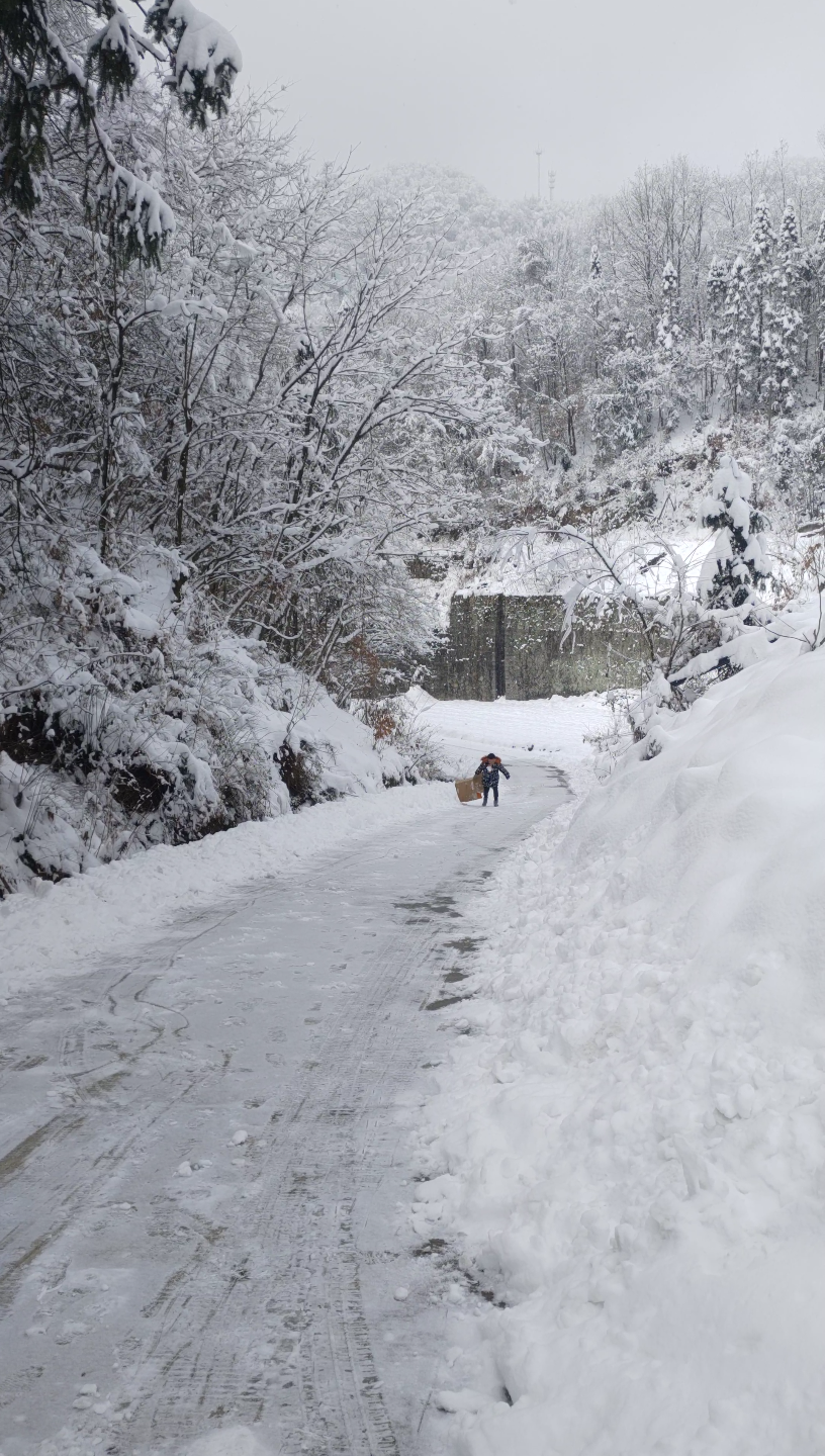 [图]《雪中即景》