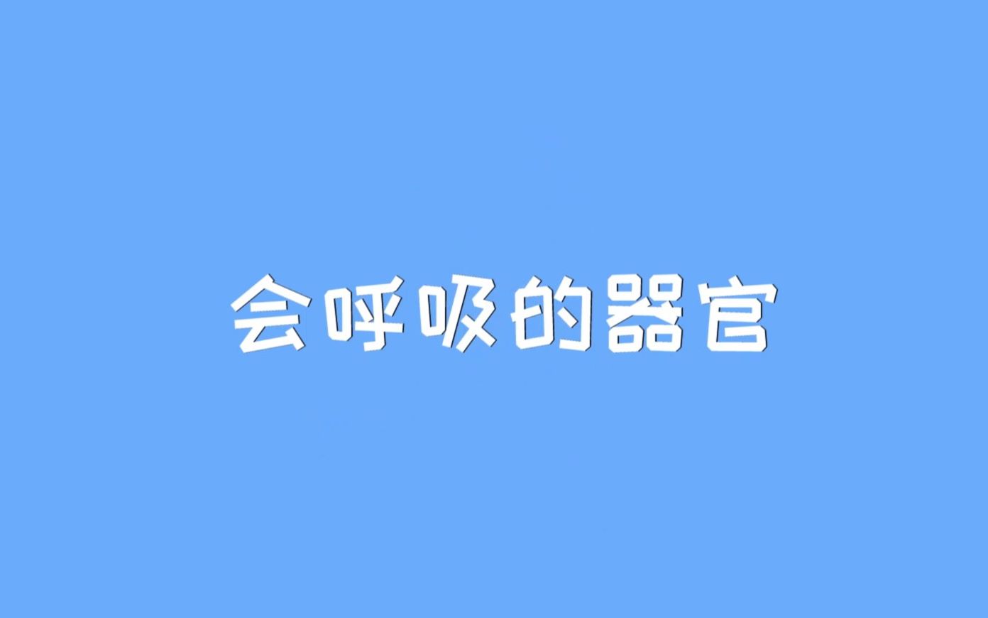 会呼吸的器官哔哩哔哩bilibili