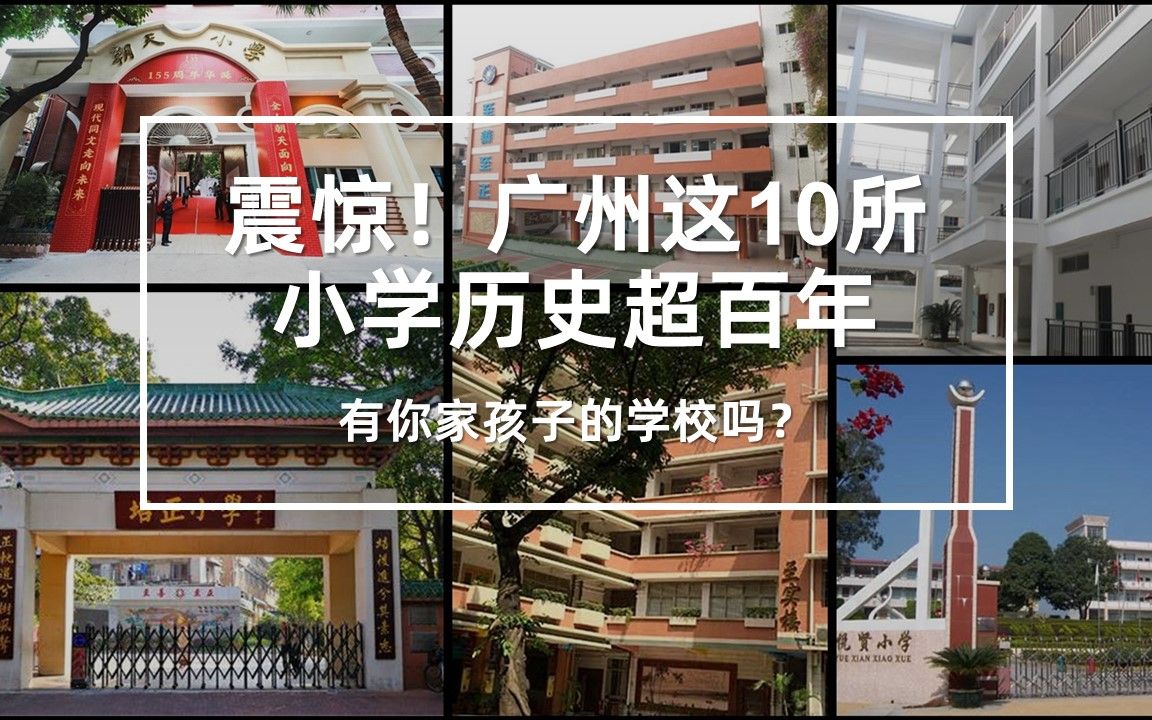 广州这10所拥有百年历史的小学,有你家孩子的学校吗?哔哩哔哩bilibili