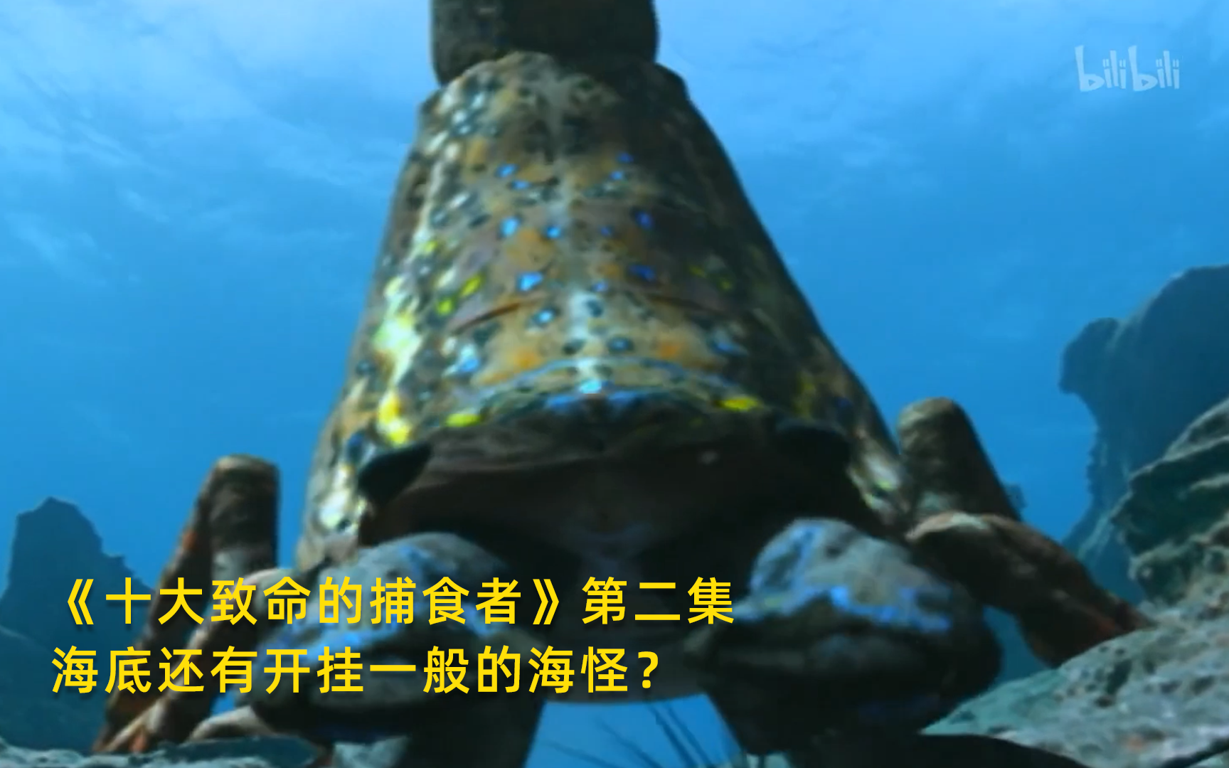 十大致命的捕食者看点12-纪录片-全集-高清正版在线观看-bilibili-哔哩哔哩