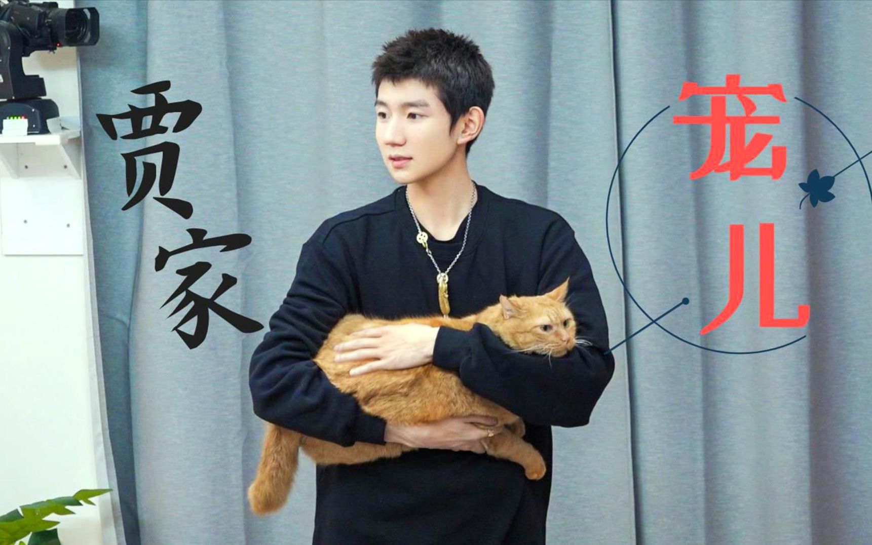 甜馨一家有多爱王源?贾乃亮醉酒叫王源女婿,李小璐吓的连挂电话