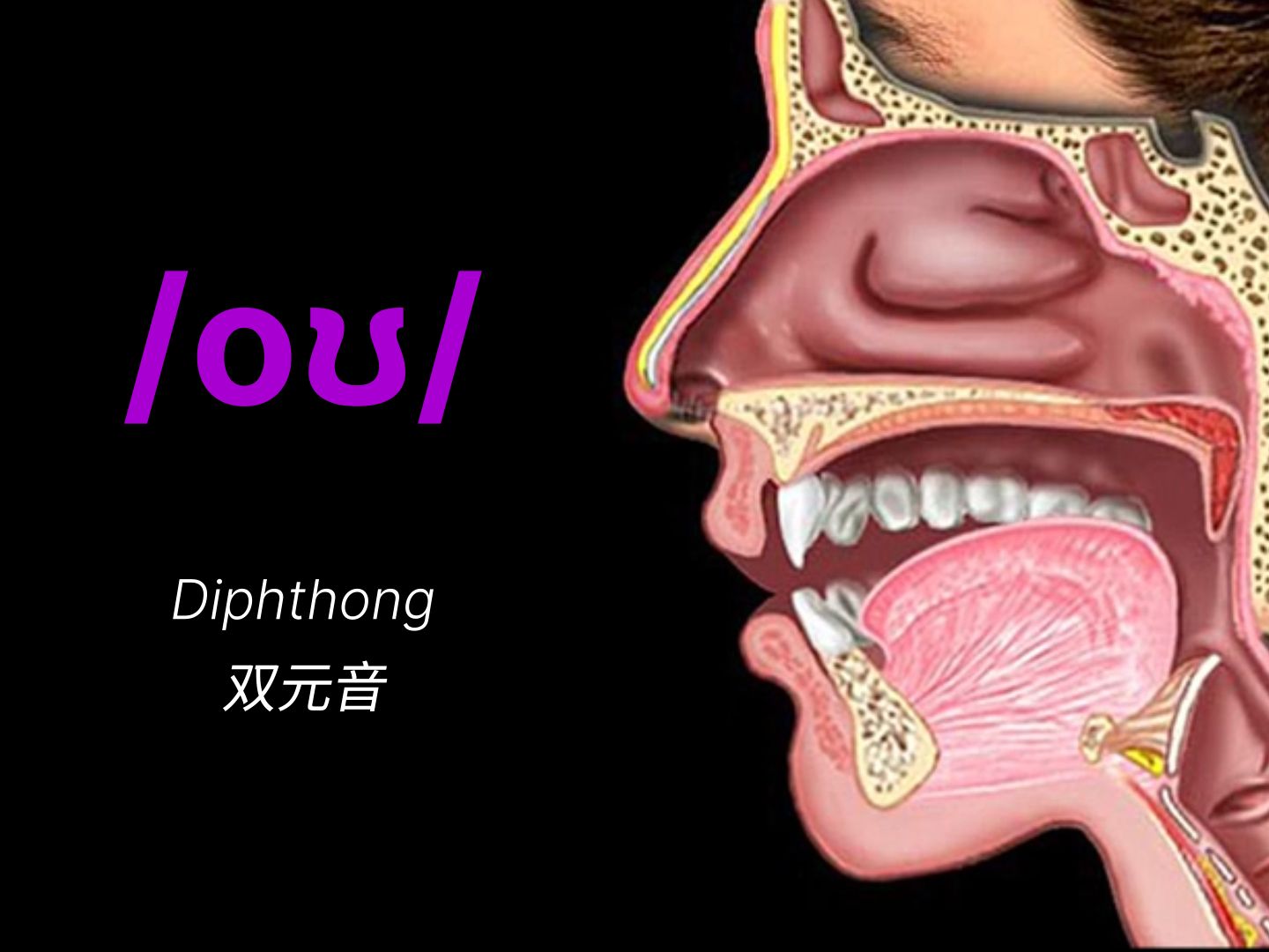 wide diphthong图片