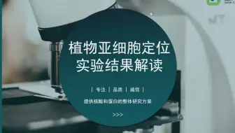 探秘植物亚细胞定位：实验结果全面分析解读