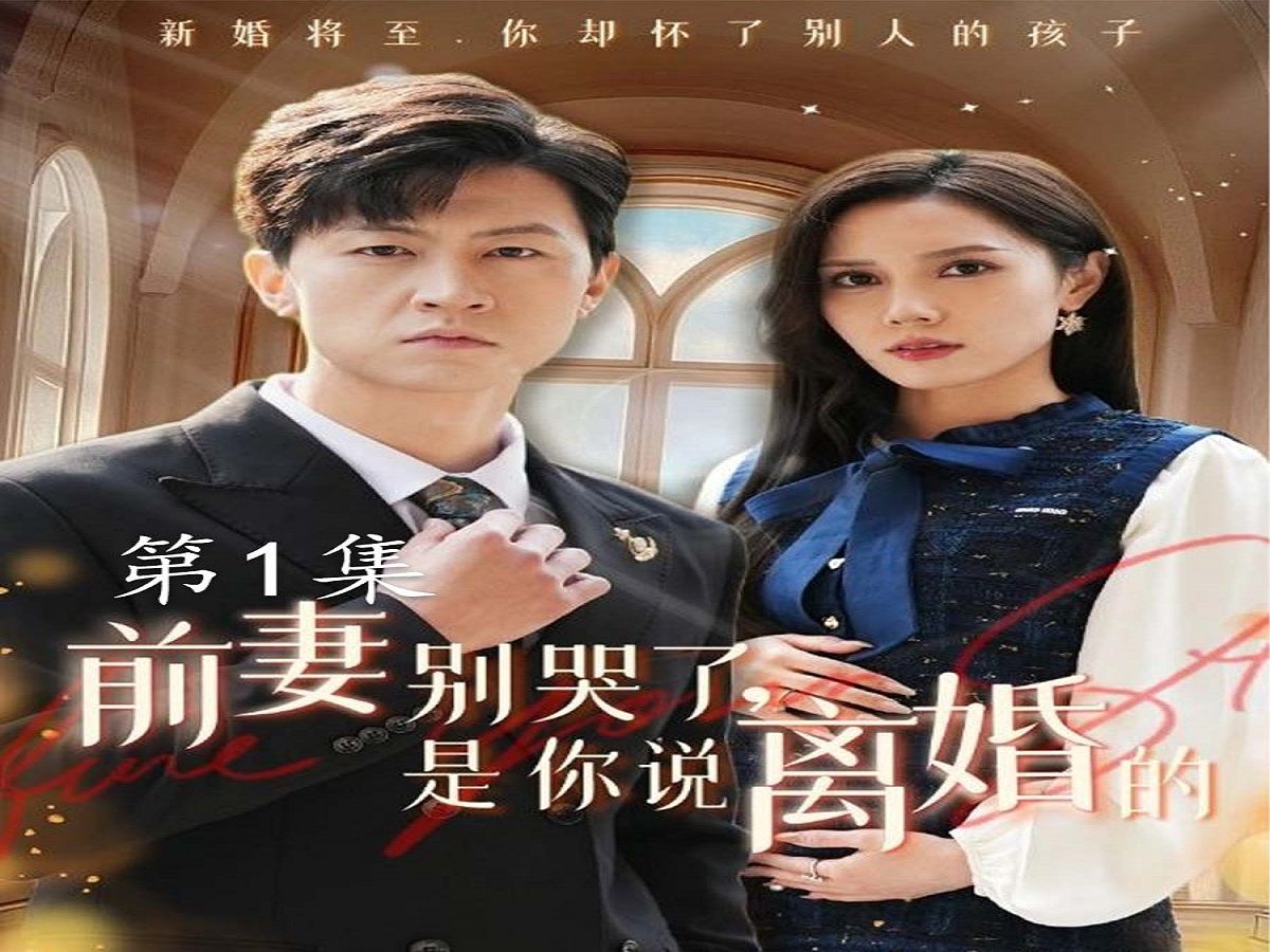 结婚之日离婚之时短剧