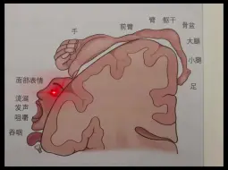 下载视频: 希望你永远也不要知道这是什么