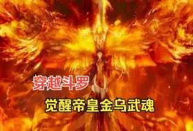 Tải video: 【斗罗山庄】穿越斗罗觉醒帝皇金乌武魂，你却发现这个世界没人听说过唐三，甚至都不知道唐昊是谁~~~