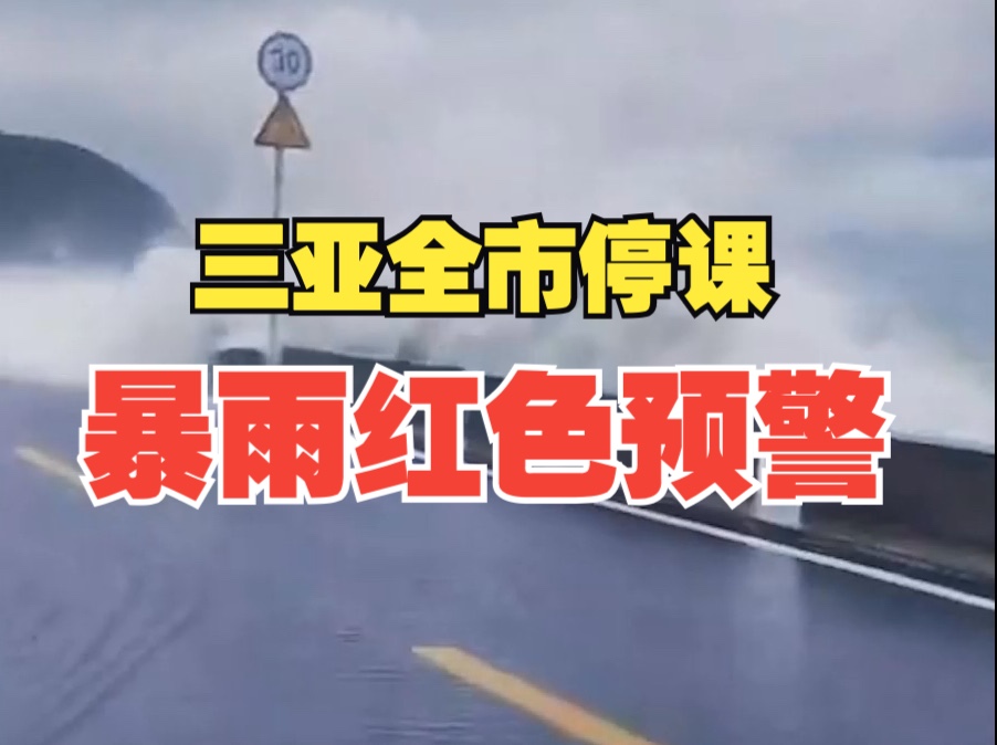 三亚特大暴雨!暴雨红色预警!全市停课!哔哩哔哩bilibili