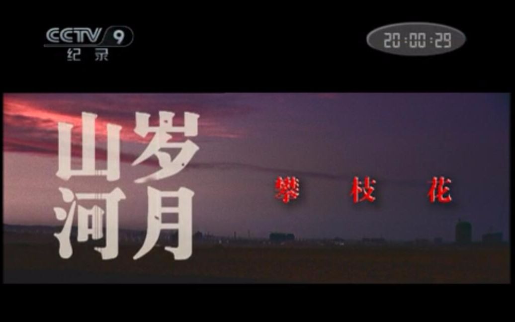 【CCTV纪录片】岁月山河ⷮŠ攀枝花(六集全)哔哩哔哩bilibili