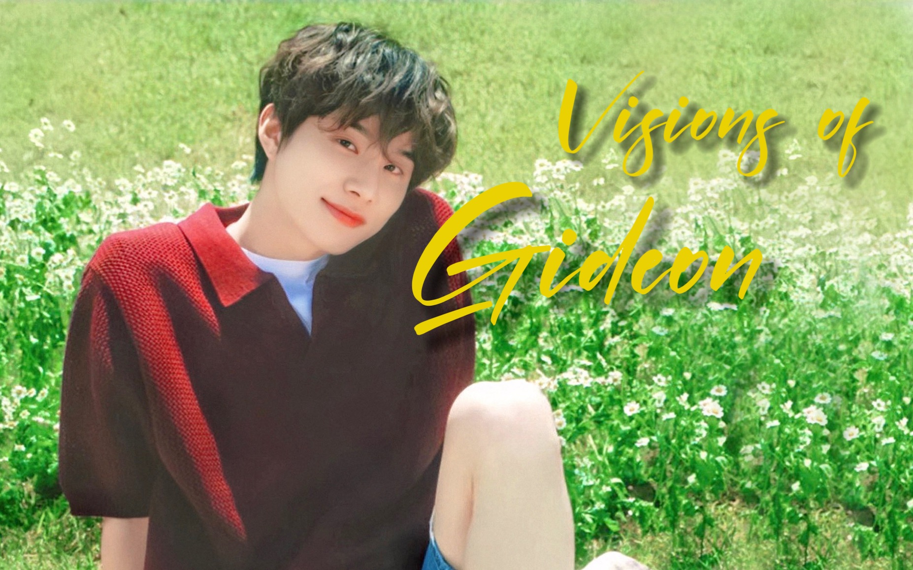 郑在玹×金廷祐|夏日幻想90visions of gideon