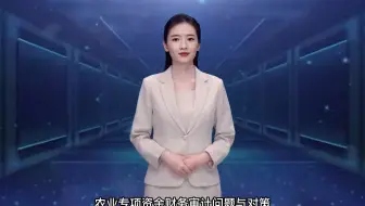 【审计论文】农业专项资金财务审计问题与对策