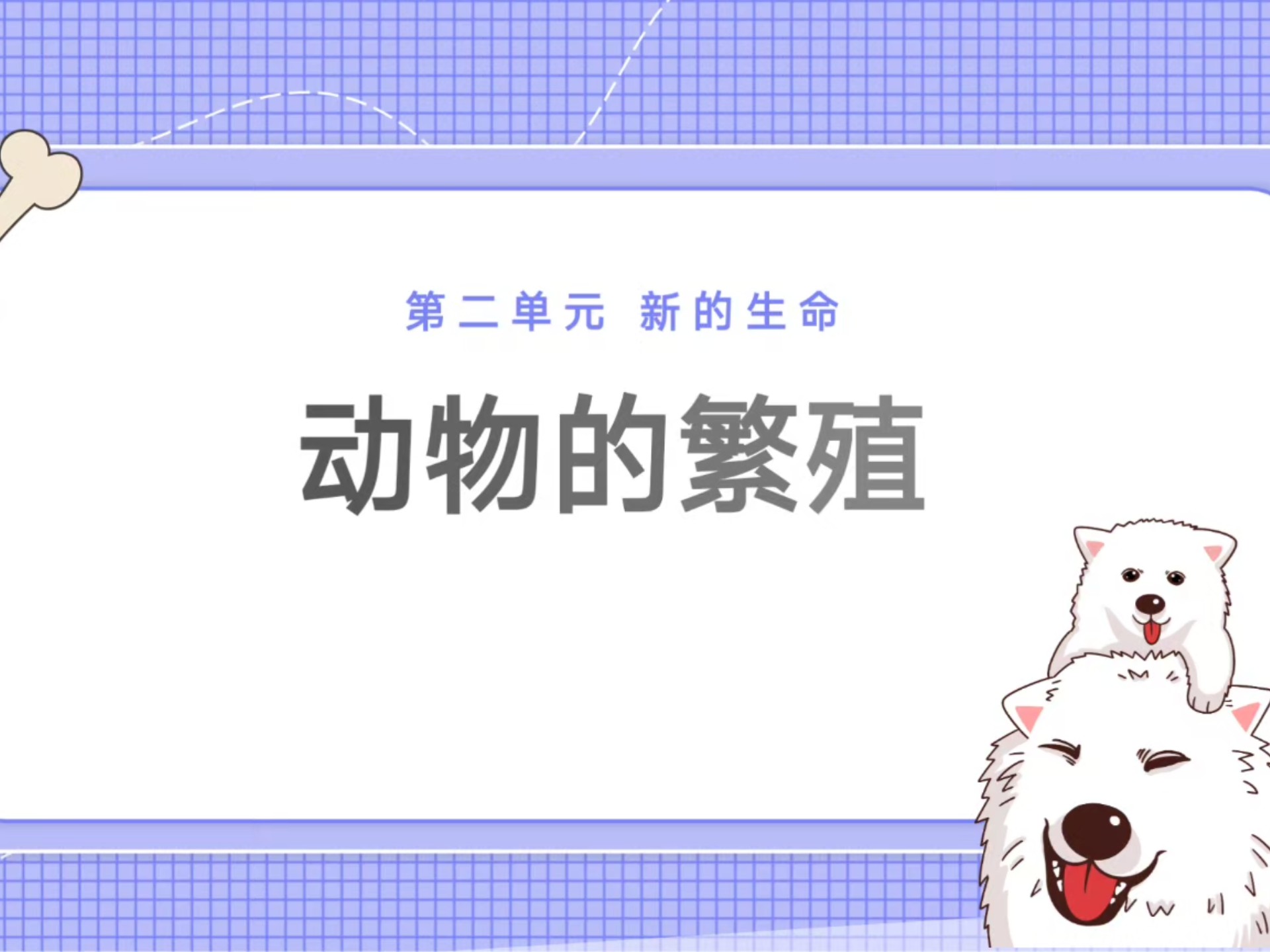 二年级科学动物的生命周期课件(二年级科学动物的家ppt课件最新)