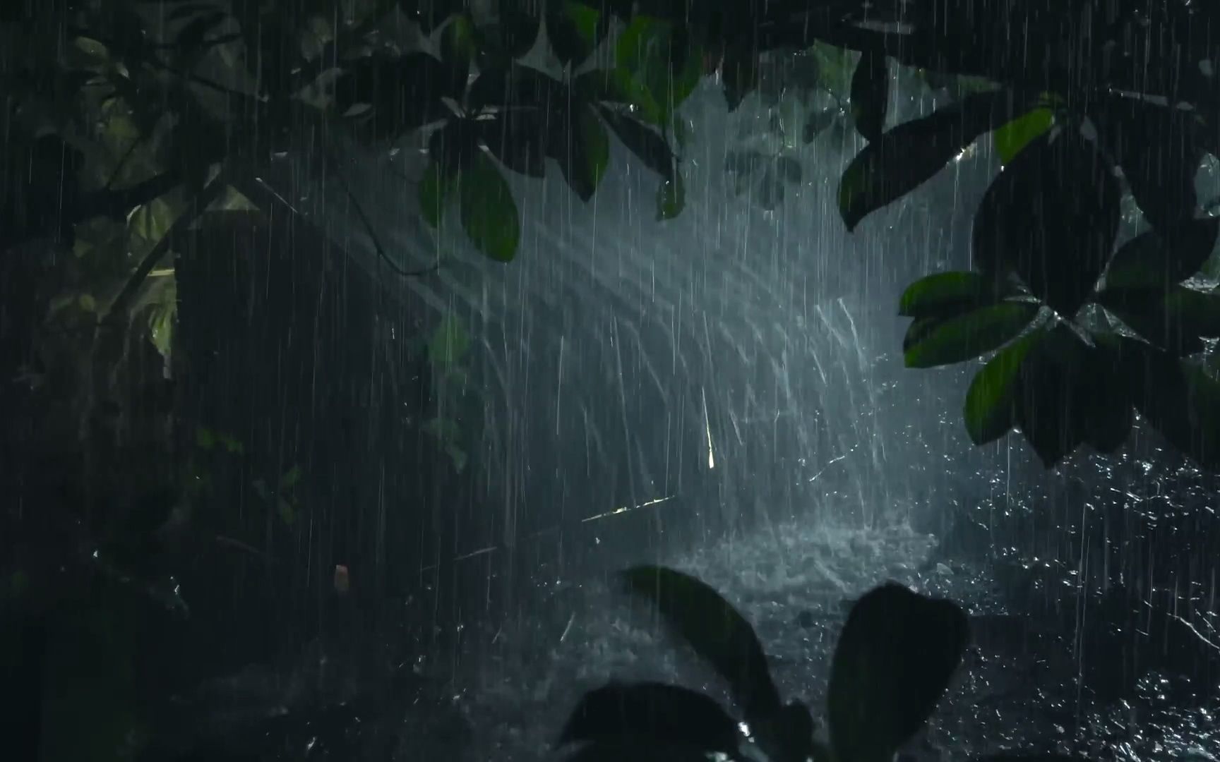[图]【真实雨声】实拍夜间树林里的下雨，躲在温暖的被窝里，听雨水声音入睡...