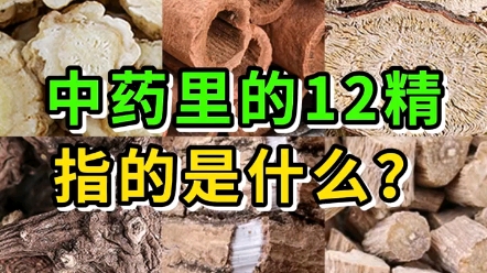 中药饮片源头厂家 品种齐全 可以私信了解学习哔哩哔哩bilibili