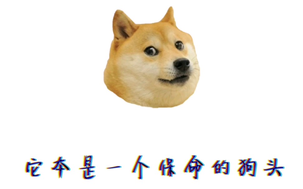 我终究还是活成了保命狗头的样子