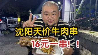 Download Video: 沈阳天价牛肉串16元一串！！凭啥这么贵啊？？