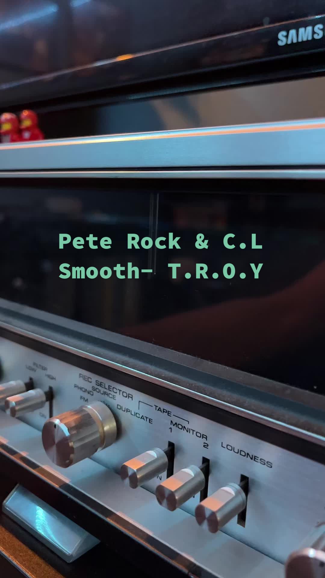 Pete Rock & C.L Smooth 他们回想起您 (TROY) 1991 records dj recordcollect哔哩哔哩bilibili