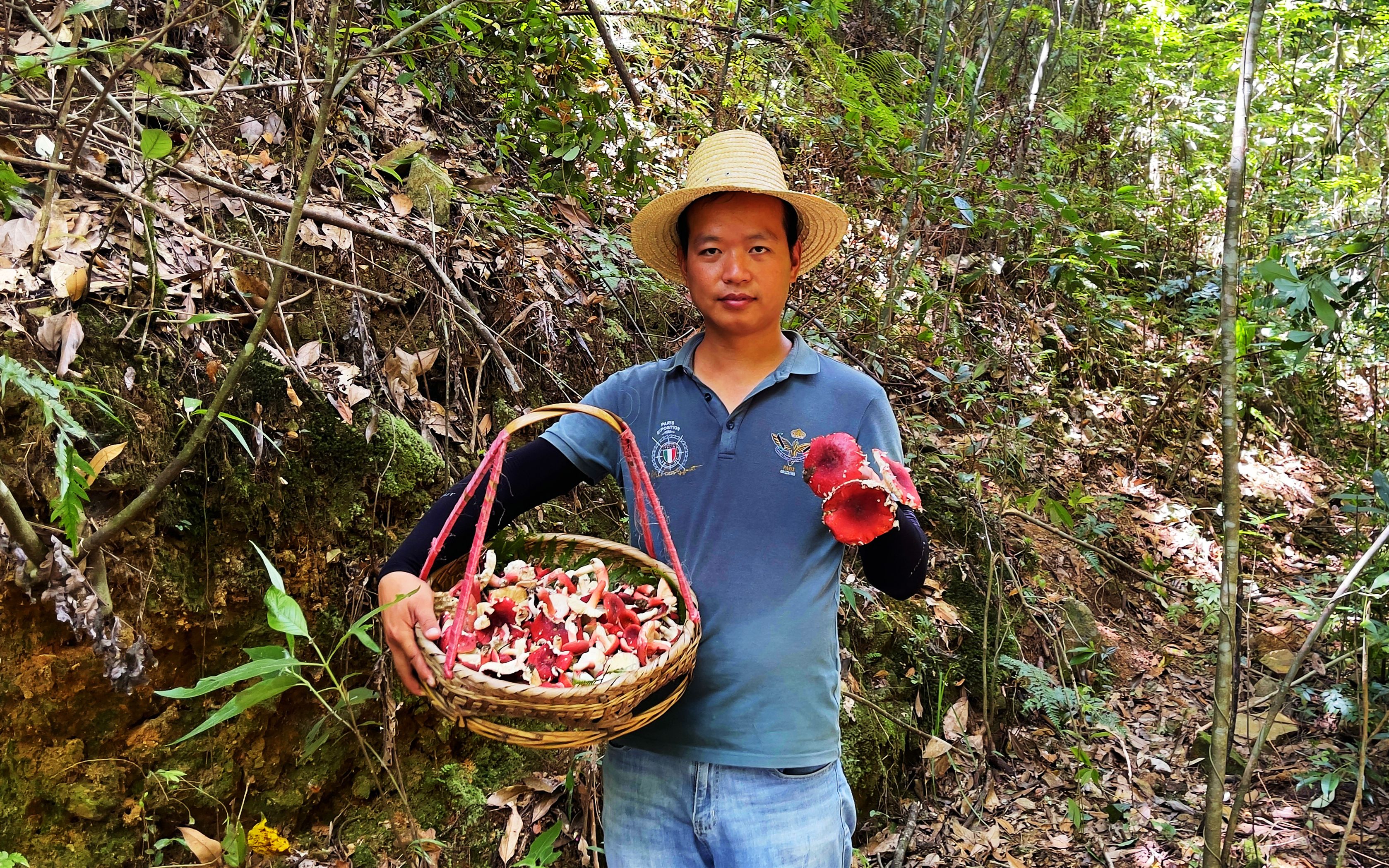 小伙上山采蘑菇,没一会就采了一大篮红菇,这是要发财了
