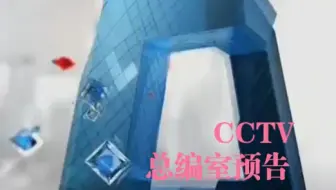CCTV总编室节目预告较罕见版本