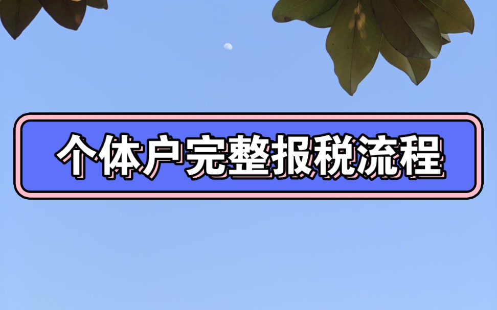 干干巴巴的个体户报税流程,江苏省电子税务局报增值税哔哩哔哩bilibili