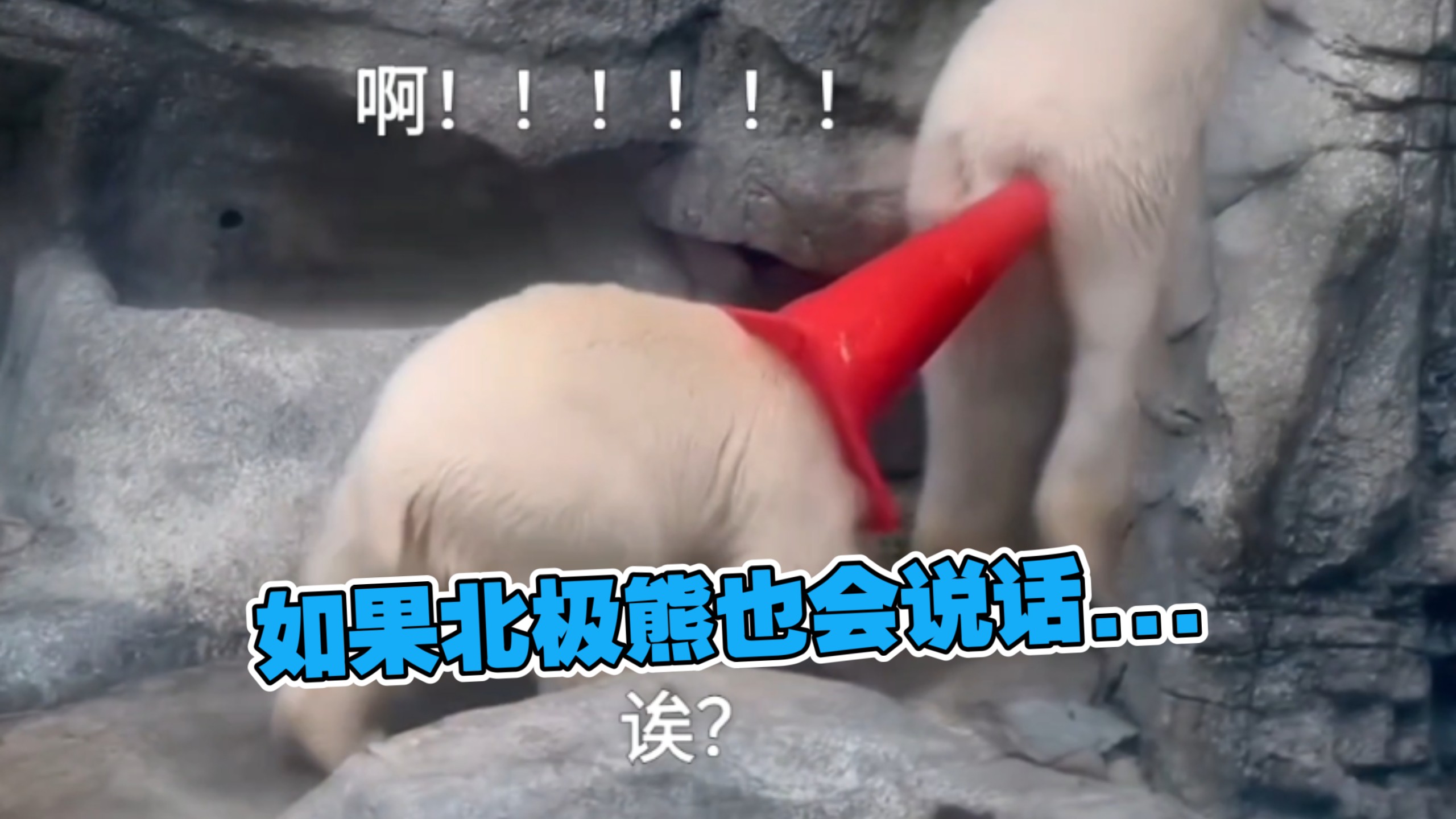 熊孩子啊😭！！！！