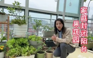 Download Video: 封闭阳台也能变成果蔬园～盘点室内阳台种植的果树