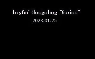 [图]細美武士“金星” (ELLEGARDEN) Studio Live (2023.1.25 bayfm 'Hedgehog Diaries')