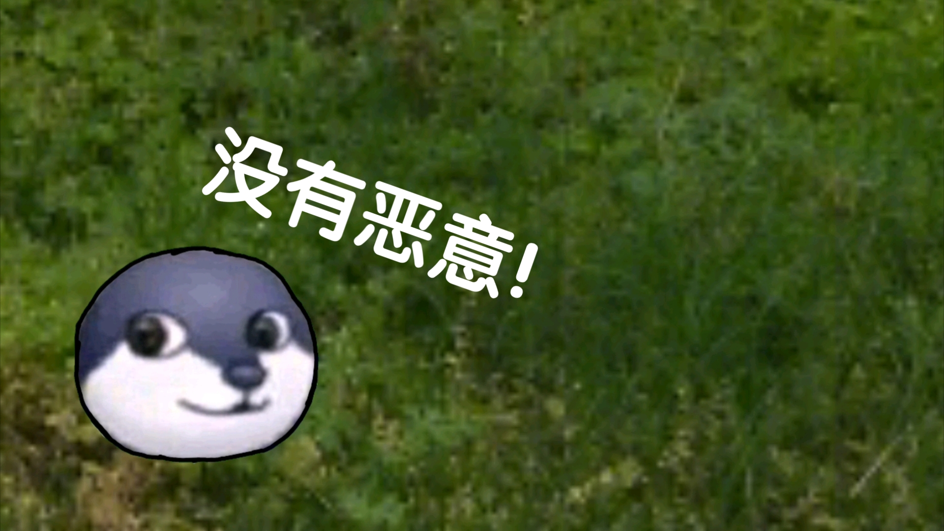 狗头小剧场 我没有给狗头圈招黑的意思,希望大家不喜勿喷