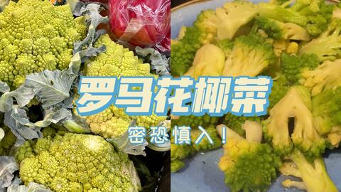 我种的是菜吗明明就是一件几何艺术品 这是今年收的最后一棵罗马花椰菜了 哔哩哔哩