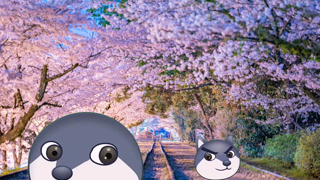 狗头