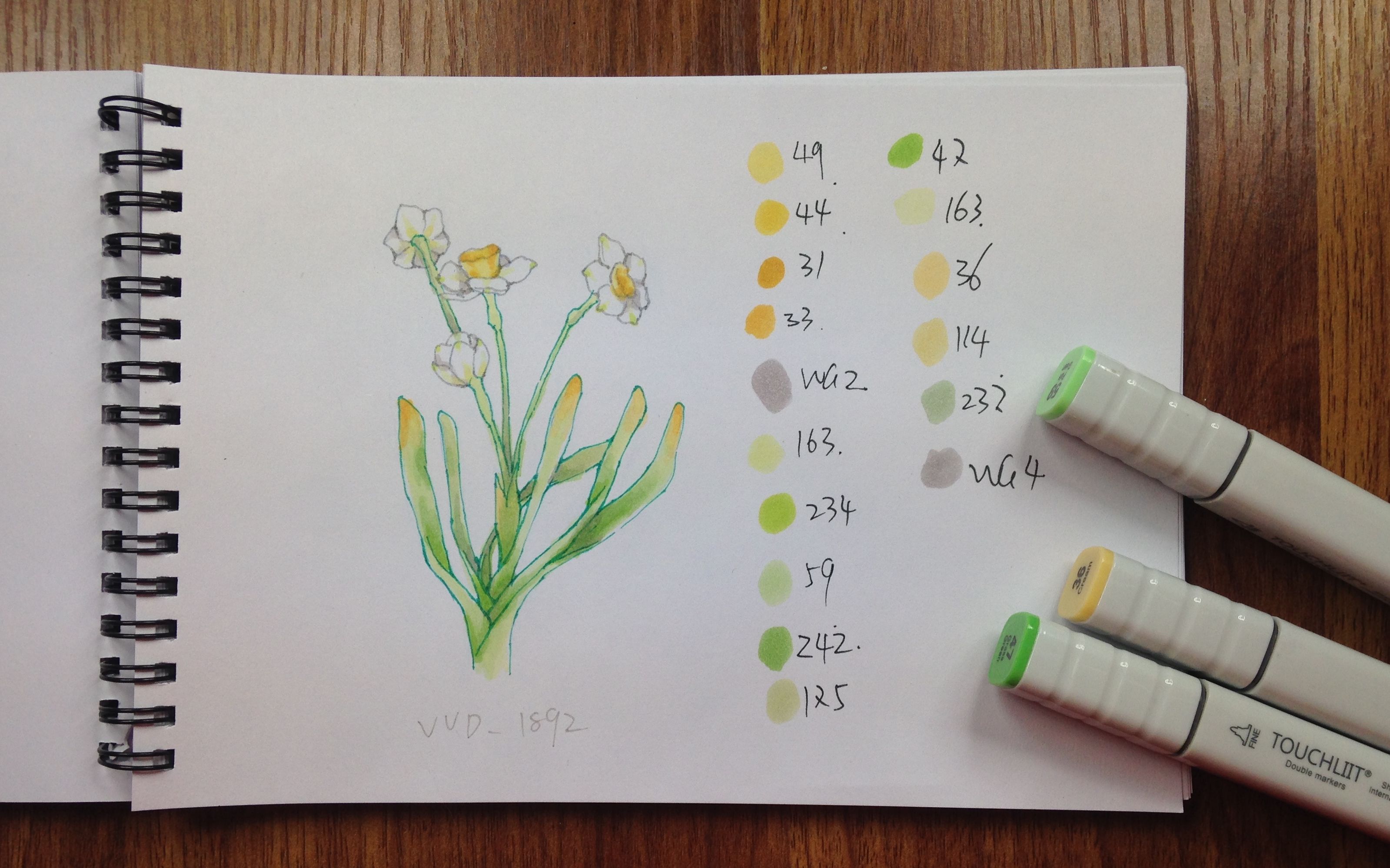 【马克笔教程】用硬头touch画一株水仙花_4倍速_花卉系列