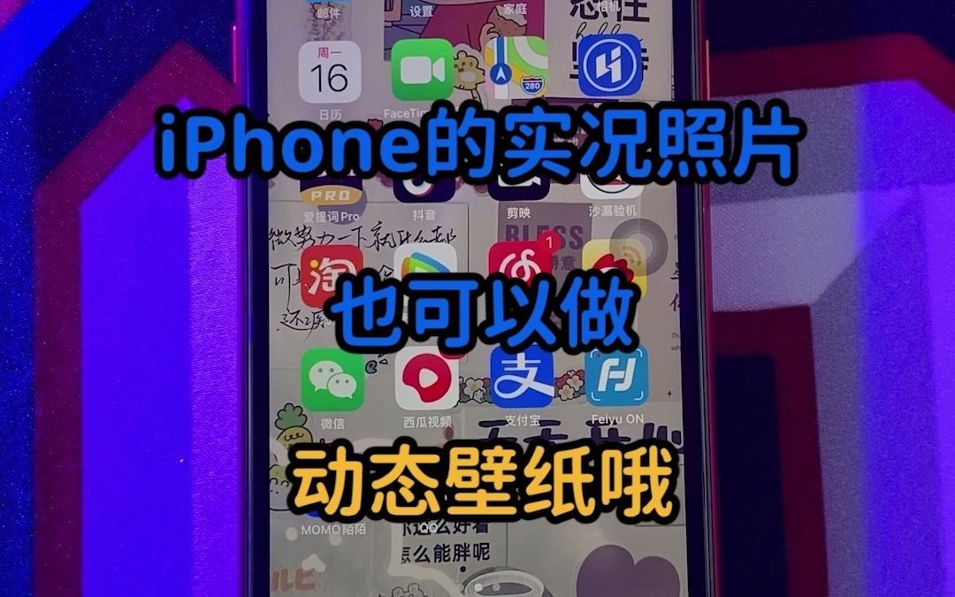 30秒教你将iPhone实况照片设置为动态壁纸,好看又好玩!哔哩哔哩bilibili