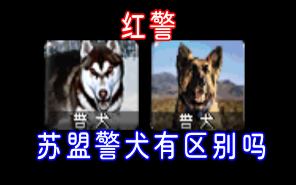 红警,苏盟的警犬有区别吗?单机游戏热门视频