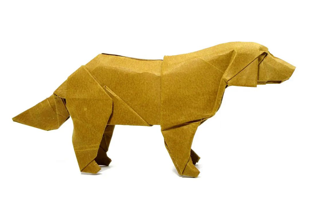 【mariano zavala】金毛巡回猎犬折纸教程origami golden retriever