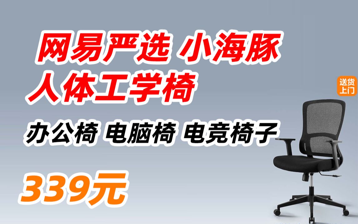 网易严选 小海豚人体工学椅 办公椅 电脑椅 电竞椅子 339元(2023年11月22日)哔哩哔哩bilibili