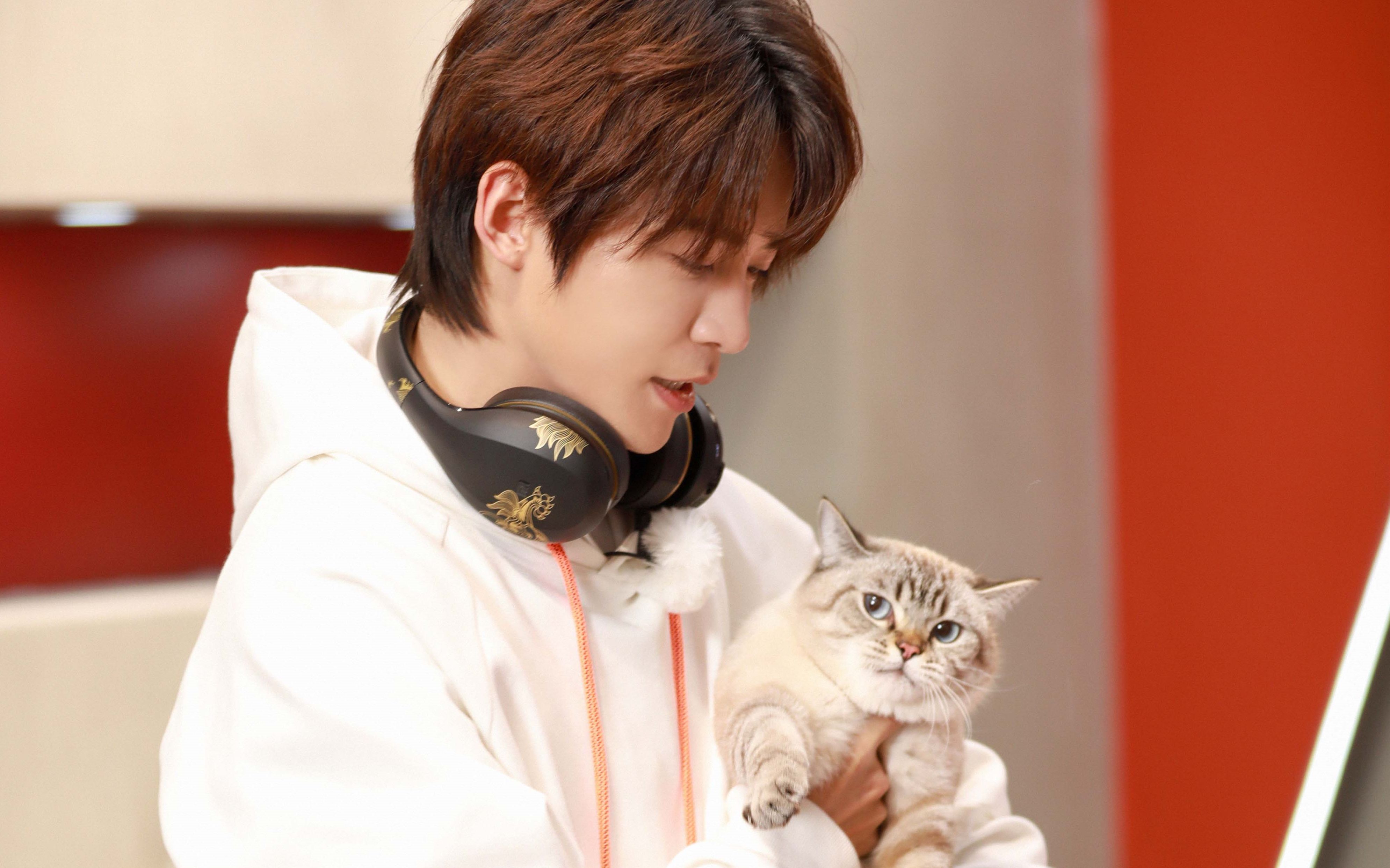 【资料归档】马雪阳 20200110 上新了故宫2 文创店店长 自砍粗柴全集