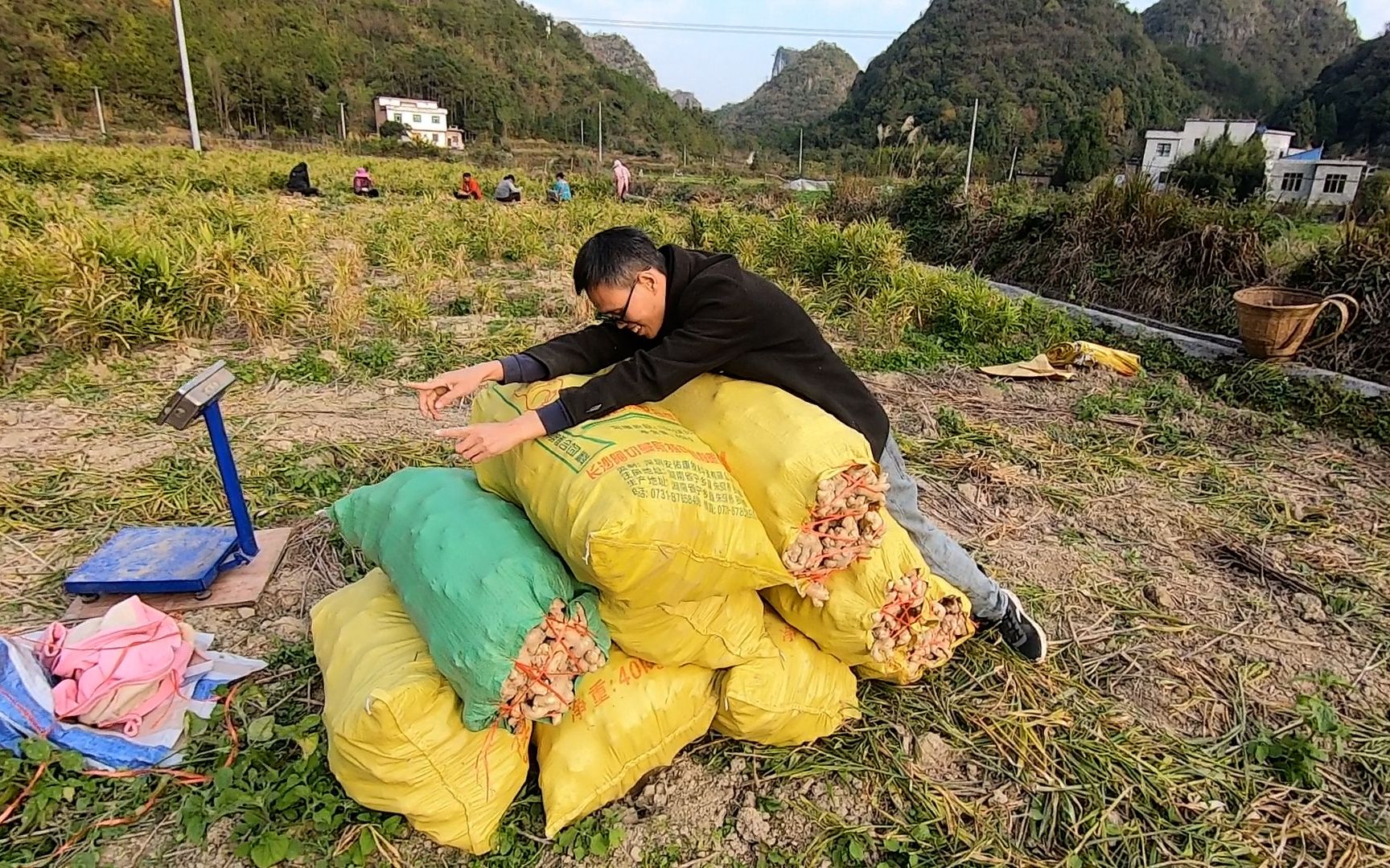 村里农户自家种植的沙姜今年滞销了,按目前这行情今年白干一年了
