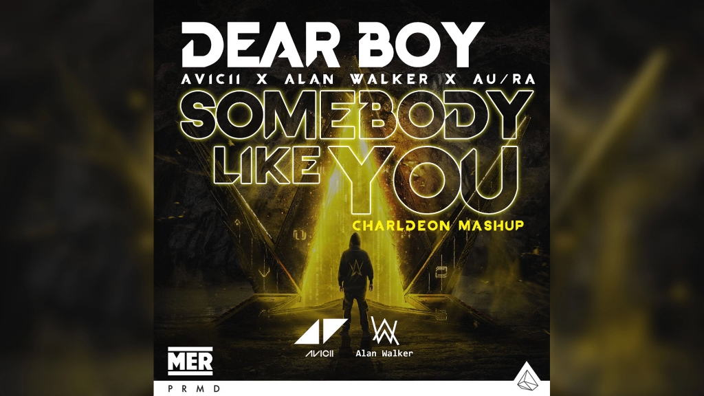 avicii x alan walker - dear boy x somebody like u (ft.