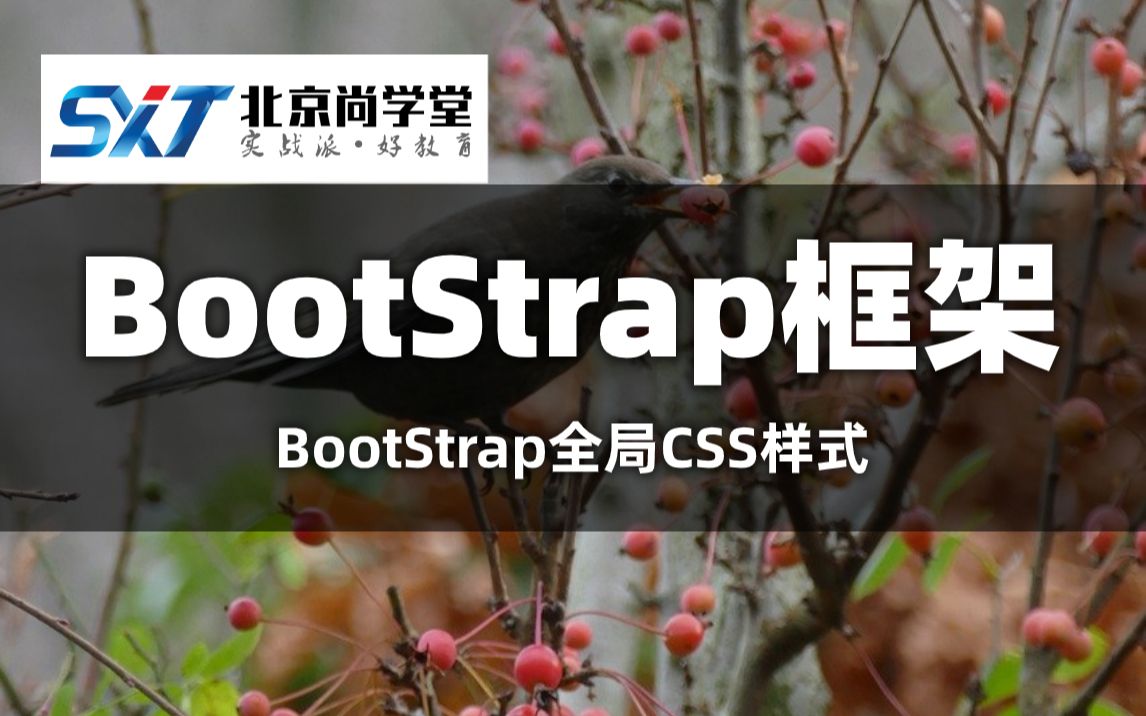 BootStrap从入门到精通从零玩转Bootstrap+项目实战Bootstrap项目实战之开发视频教程BootStrap框架课程系统讲解常用组件分析哔哩哔哩bilibili