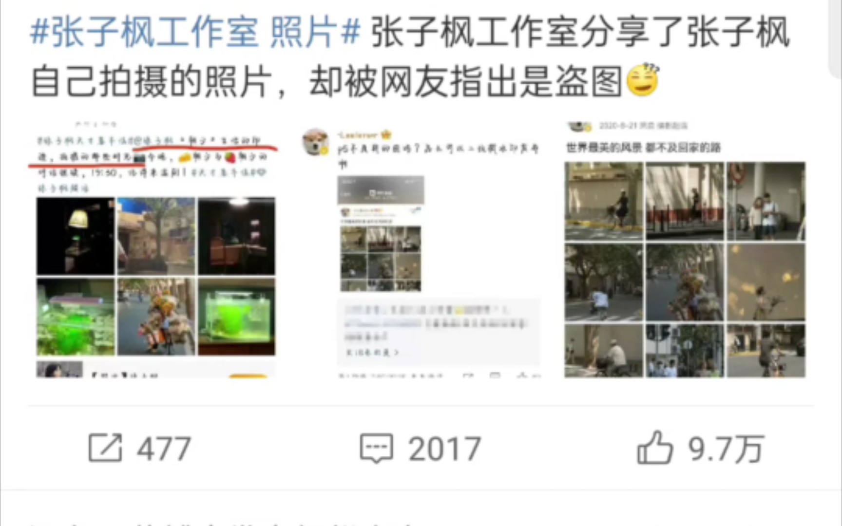 张子枫工作室发的照片被指盗图微博现状~哔哩哔哩bilibili