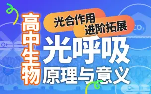 Download Video: 【高中生物光合进阶】光呼吸-原理动画化与意义分析（以C3植物为例）