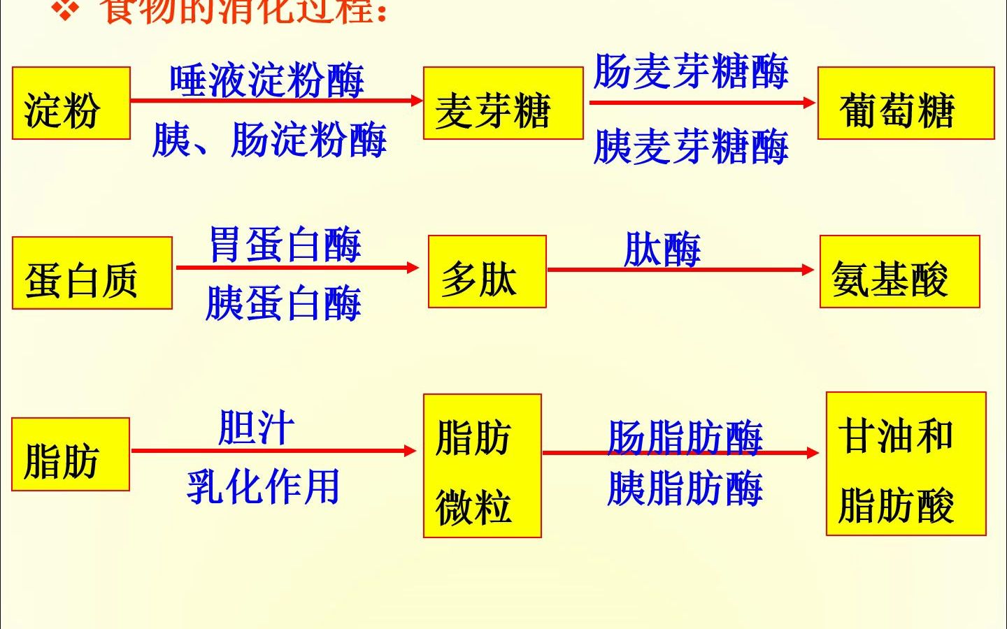 [图]【五一之后】生物《加酶洗衣粉的洗涤效果》，5月5日收