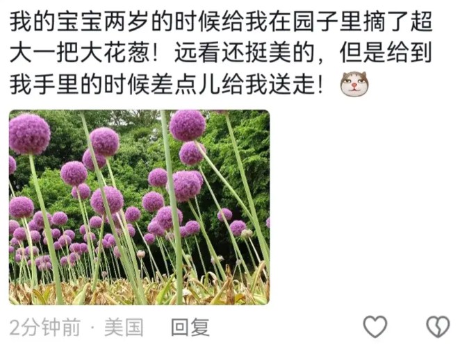 他提着花回去的路上,应该在幻想着妈妈收到花时欣喜的笑容吧!!!哔哩哔哩bilibili