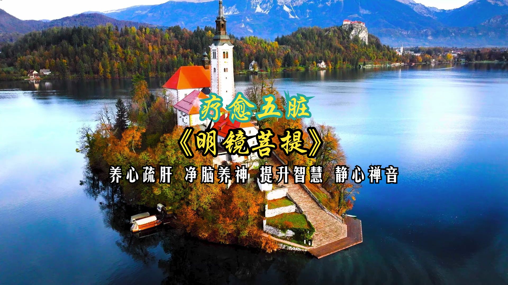 五音疗愈五脏 养心疏肝 净脑养神 提升智慧 静心禅