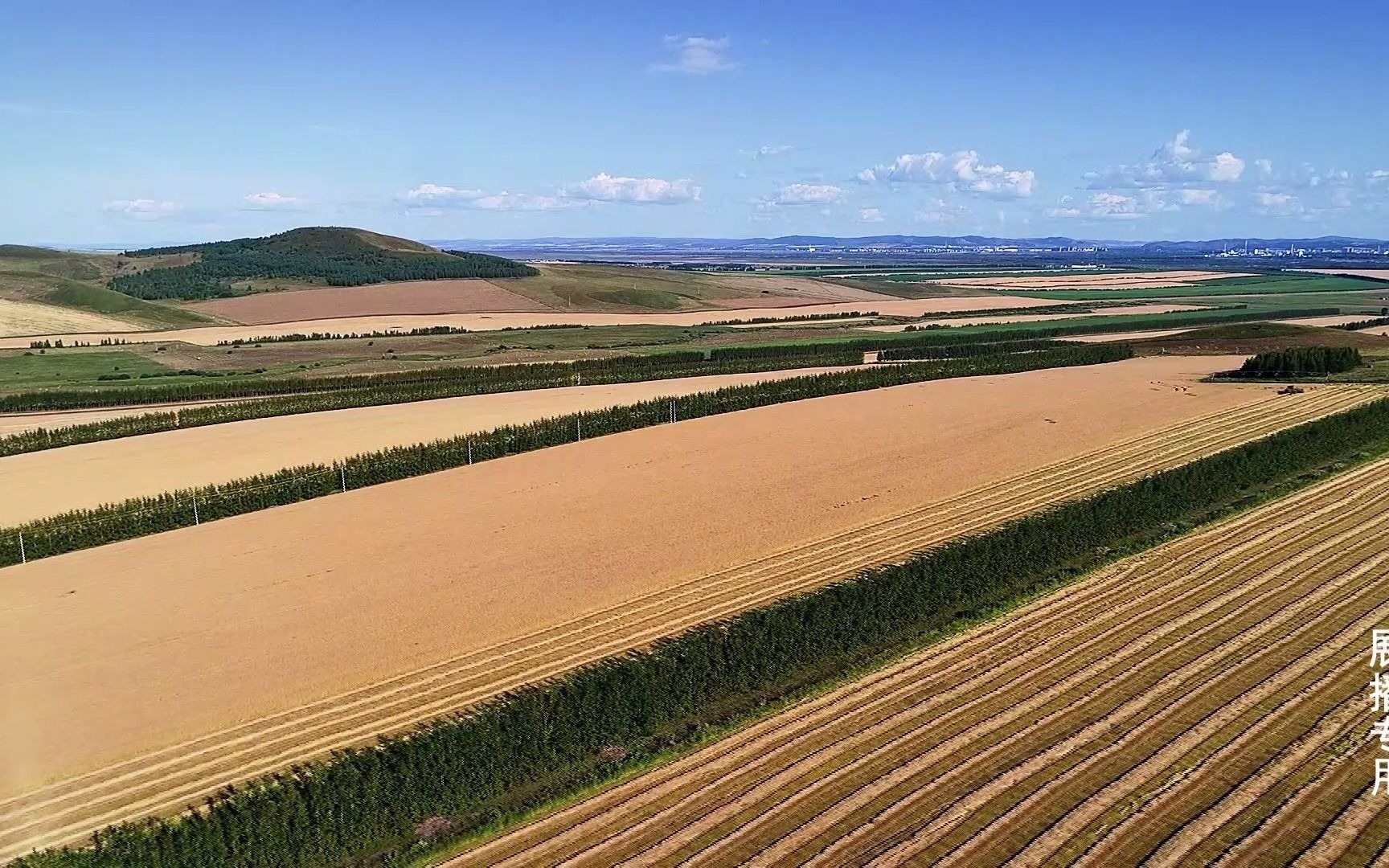 农垦希望的田野