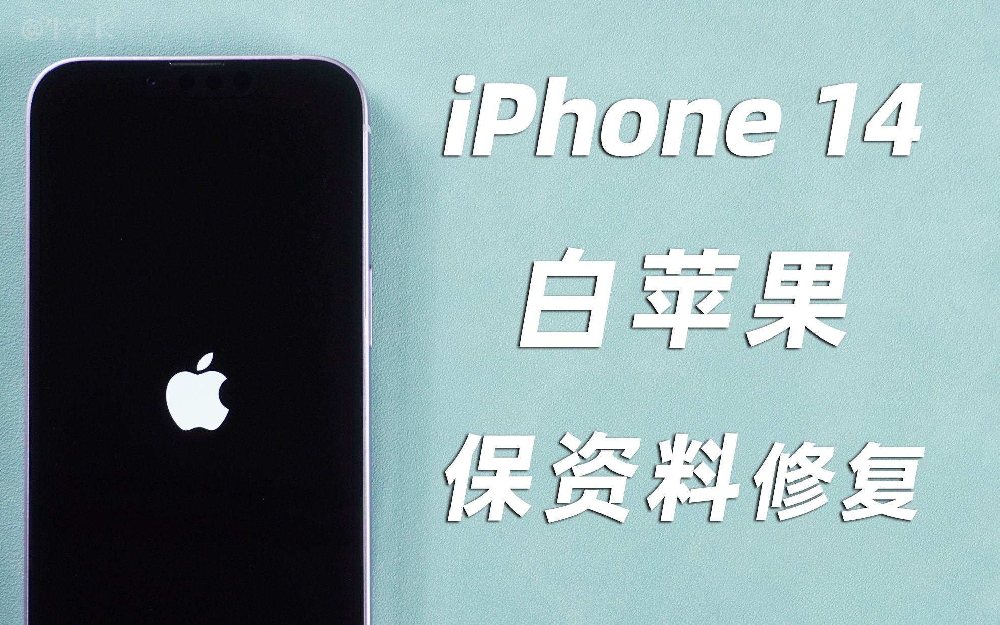 【保资料】修复iPhone14/Pro莫名白苹果、白苹果开不了机故障!哔哩哔哩bilibili