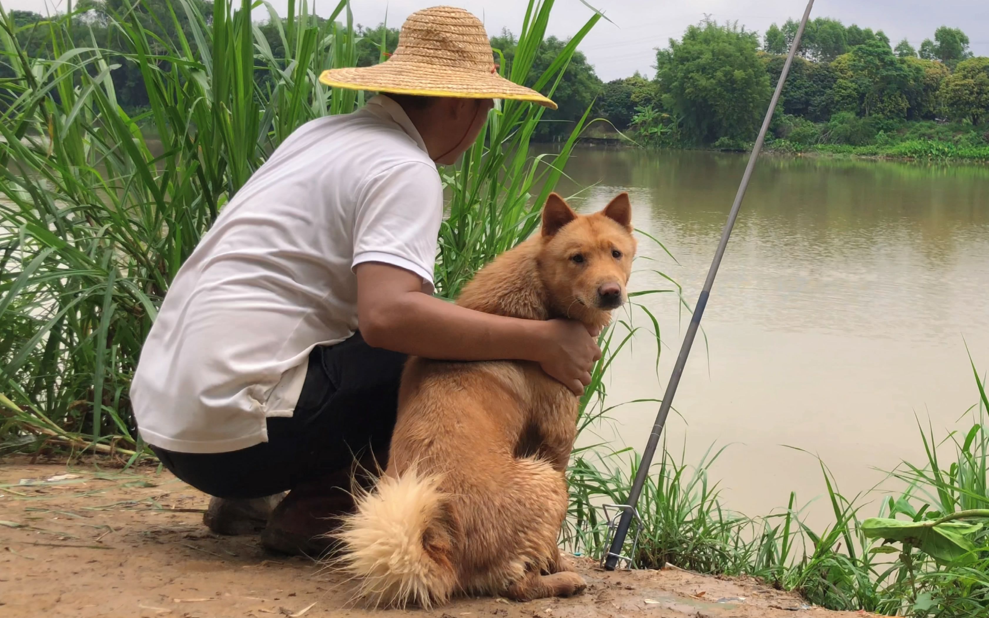 带田园犬阿松去河边野钓,虽然没收获,但它的表现就很满意