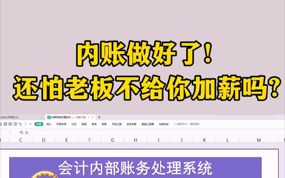 都说会做账报税的会计吃香,那如果你会合理合法的做内帐,那就更厉害了!做好了这些,还能怕老板不给你加薪?!哔哩哔哩bilibili