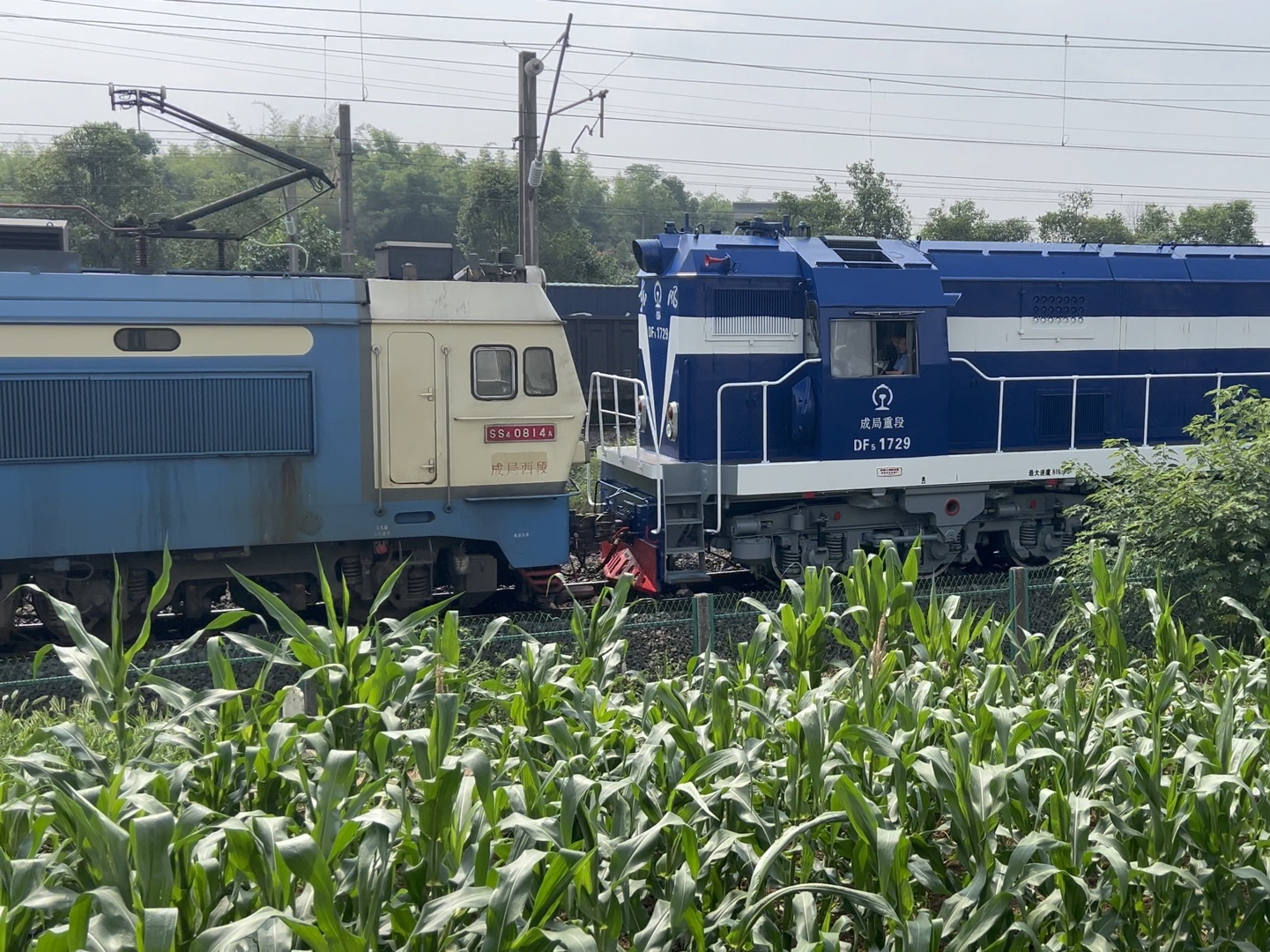 要素过多——3车交会 机车回送 b22机械保温车组