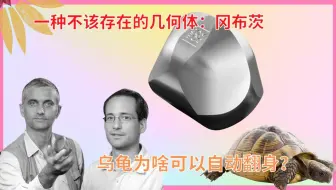 一种自然界不存在的几何形状：冈布茨，这是人类的发现和发明！